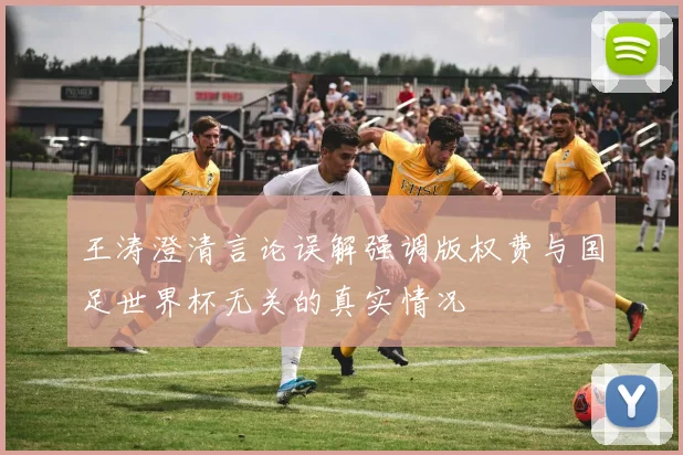 王涛澄清言论误解强调版权费与国足世界杯无关的真实情况